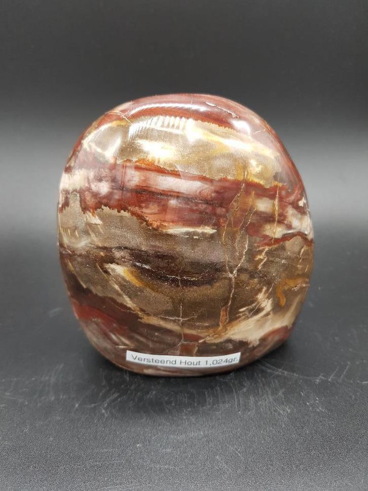 Versteend hout nr. 4, Verzamelen, Mineralen en Fossielen, Fossiel, Ophalen of Verzenden