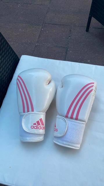 Bokshandschoenen Adidas wit 10oz beschikbaar voor biedingen