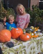 Grote en kleine pompoenen en kalebassen, Ophalen, Nieuw