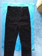 Zwart fluwelen panterprint broek, hoge taille, XXS, Monki, Kleding | Dames, Lang, Maat 34 (XS) of kleiner, Ophalen of Verzenden