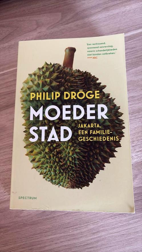 Philip Dröge - Moederstad, Boeken, Overige Boeken, Zo goed als nieuw, Ophalen of Verzenden