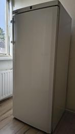 Liebherr diepvries, Witgoed en Apparatuur, Vriezers en Diepvrieskisten, Gebruikt, Energieklasse A of zuiniger, 140 tot 160 cm