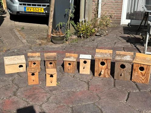 Broedblokken, Dieren en Toebehoren, Vogels | Toebehoren, Gebruikt, Kooi-accessoires, Ophalen