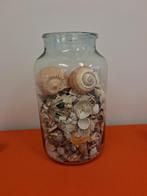 Grote glazen vaas tjokvol tropische schelpen, Ophalen, Overige kleuren, 50 tot 75 cm, Glas