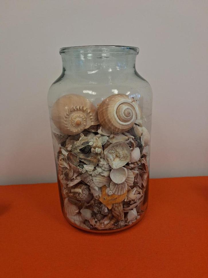 Grote glazen vaas tjokvol tropische schelpen, Huis en Inrichting, Woonaccessoires | Vazen, Zo goed als nieuw, Overige kleuren
