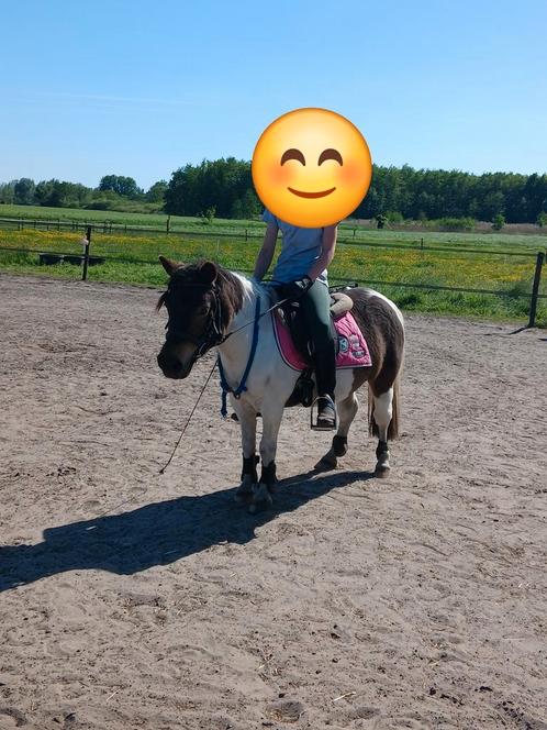 verzorgpony aarle rixtel, Dieren en Toebehoren, Paarden en Pony's | Verzorgingsproducten, Nieuw, Ophalen