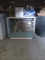 Aqarium 60x30x35, Ophalen