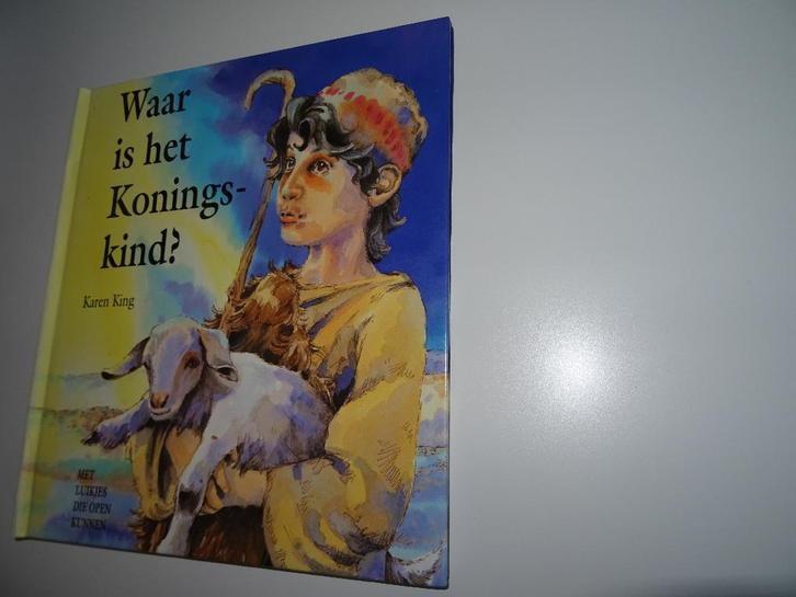 Prentenboek - KERST - Waar is het Koningskind?, Diversen, Kerst, Zo goed als nieuw, Ophalen