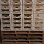357 kunstof voorkiem kisten / plastic kratten, Doe-het-zelf en Verbouw, Kratten en Dozen, Ophalen of Verzenden, Krat