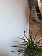 Plinten 5meter lengte, Doe-het-zelf en Verbouw, Ophalen, Nieuw, Mdf, 250 cm of meer