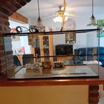 Terrarium 100x50x50 compleet met inhoud, Ophalen, Zo goed als nieuw, Terrarium of Paludarium