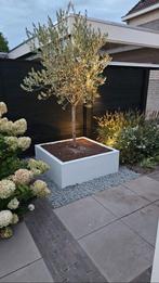 Micto bloembakken op maat, Vierkant, Nieuw, Ophalen of Verzenden, Metaal