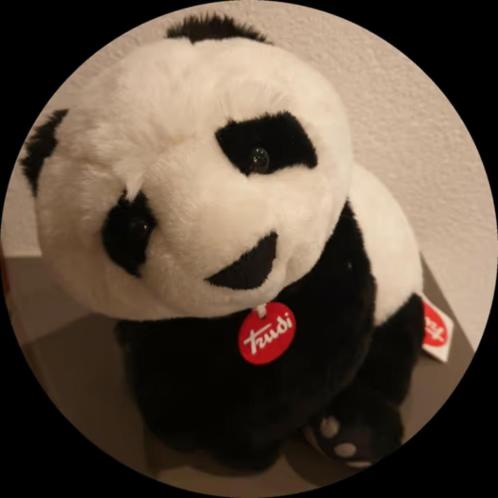 Trudi knuffel Panda Kevin ca. 28 cm   - NIEUW!!   Pandabeer, Kinderen en Baby's, Speelgoed | Knuffels en Pluche, Nieuw, Overige typen