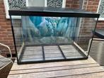 Te koop: Superfish Starter 150, Ophalen, Zo goed als nieuw, Leeg aquarium