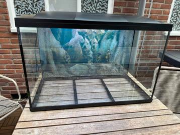 Te koop: Superfish Starter 150 beschikbaar voor biedingen