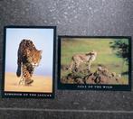 Ansichtkaarten jaguar en cheetah jachtluipaard Cartel, Ophalen of Verzenden, 1980 tot heden, Ongelopen, Wild dier