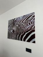 Plexiglas schilderij Zebra, Antiek en Kunst, Kunst | Schilderijen | Modern, Ophalen