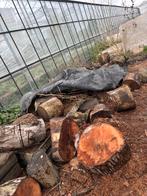 Stamhout voor openhaard, Tuin en Terras, Haardhout, Minder dan 3 m³, Ophalen, Overige houtsoorten, Stammen