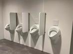 Te koop toilet + urinoir set compleet zo goed als nieuw, Ophalen of Verzenden, Zo goed als nieuw, Toilet