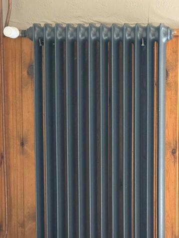 Gietijzeren radiator beschikbaar voor biedingen