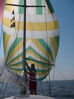 Spinaker triradial, Watersport en Boten, Ophalen of Verzenden, Zo goed als nieuw