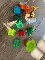 Lego Duplo 4962 Baby Zoo, Kinderen en Baby's, Speelgoed | Duplo en Lego, Ophalen of Verzenden, Gebruikt, Complete set, Duplo