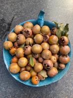 Mispels, onbespoten, Diversen, Levensmiddelen, Ophalen