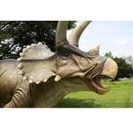 Triceratops – Dinosaurus beeld Lengte 434 cm, Ophalen, Nieuw, Overige typen
