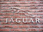 Jaguar RVS logo, Auto diversen, Auto-accessoires, Nieuw, Ophalen of Verzenden