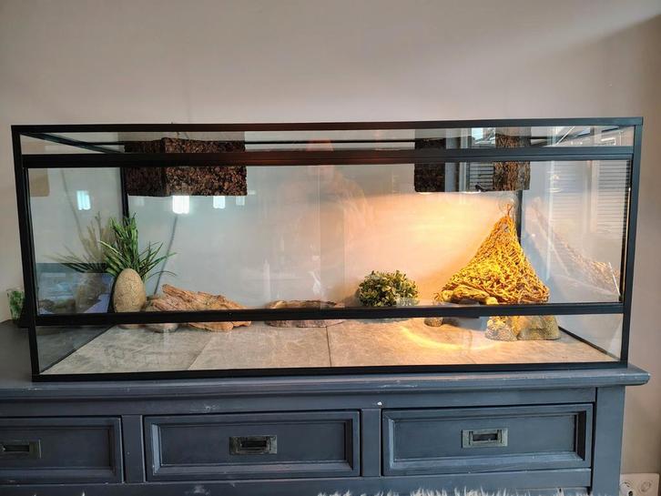 Z.G.A.N. terrarium glas 120x50x50 cm evt. Incl. accessoires, Dieren en Toebehoren, Reptielen en Amfibieën | Toebehoren, Zo goed als nieuw