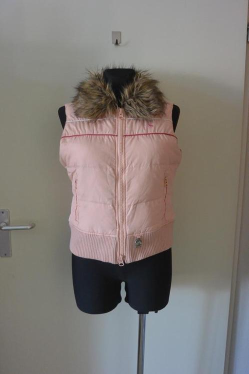 Abercrombie & Fitch bodywarmer dons L baby roze, Kleding | Dames, Bodywarmers, Gedragen, Maat 34 (XS) of kleiner, Roze, Ophalen of Verzenden