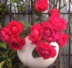 Vintage West-Germany hangende bloempot wit lange kettingen, Tuin en Terras, Bloempotten, Rond, Binnen, Ophalen of Verzenden, Zo goed als nieuw