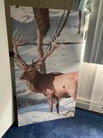 Grote camvas poster edelhert in sneeuw, Huis en Inrichting, Ophalen of Verzenden, Zo goed als nieuw, Foto of Poster
