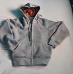 Burberry vest, Kleding | Heren, Truien en Vesten, Verzenden, Zo goed als nieuw, Grijs, Burberry