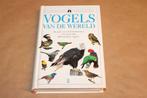 Vogels van de Wereld — Sesam Natuur Handboek [Gids], Boeken, Dieren en Huisdieren, Ophalen of Verzenden, Gelezen, Vogels