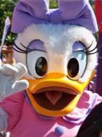 Katrien Duck en Donald Duck mascotte te huur of langskomen, Ophalen of Verzenden, Zo goed als nieuw, Overige