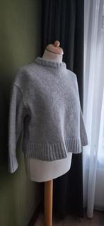 Wollen Trui merk Edited maat 38, Ophalen of Verzenden