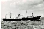 M.S. Stuttgart, Ophalen of Verzenden, Motorboot, Kaart, Foto of Prent