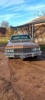 Chevrolet 1979 Bruin, Bruin, 4998 cc, 6 stoelen, Sedan