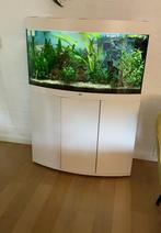 Panorama aquarium, Ophalen, Zo goed als nieuw, Grind, Zand of Voedingsbodem