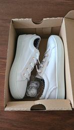 Witte sneakers Skechers Bob's, maat 40, nieuw in doos, Skechers, Wit, Nieuw, Ophalen of Verzenden