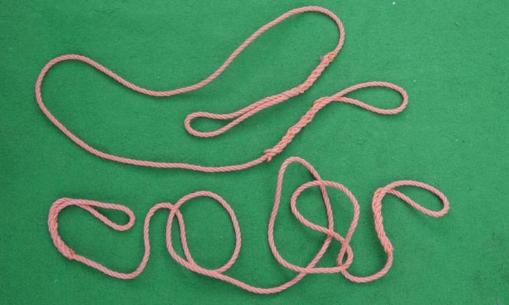 Buddylijn - ca 150 cm - Oranje, Watersport en Boten, Duiken, Gebruikt, Overige typen, Ophalen of Verzenden