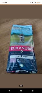 Eukanuba puppy lam, Ophalen, Hond