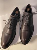 Borelli Heren Donkerbruine Oxford Schoenen met Cap Toe, EU44, Borelli, Bruin, Nieuw, Ophalen of Verzenden