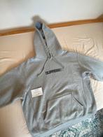 Supreme Motion Logo Hoodie Heather Grey Medium, Maat 48/50 (M), Ophalen of Verzenden, Zo goed als nieuw, Grijs