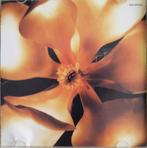 Madonna – something to remember CD 9362-46100-2 floral this, Verzenden, 1980 tot 2000, Zo goed als nieuw