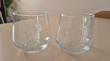 Harry Potter Glazen - Gryffindor & Slytherin beschikbaar voor biedingen