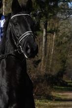 Wegens omstandigheden een goud eerlijke merrie te koop, Dieren en Toebehoren, Paarden, Merrie, B, Gechipt, 11 jaar of ouder