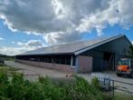 Rundveestal, Stal, Staalconstructie, Hal, Loods, Schuur, Dieren en Toebehoren, Stalling en Weidegang