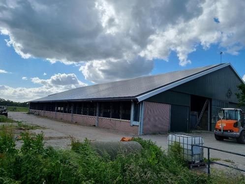 Rundveestal, Stal, Staalconstructie, Hal, Loods, Schuur, Dieren en Toebehoren, Stalling en Weidegang